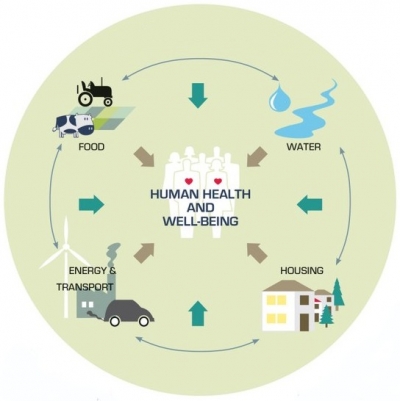 El primero problema de la Vida se refiere al problema de la ocupación - Cómo Resolver. Los tres lazos que vinculan a los seres humanos se refieren a los tres problemas. Pero ninguno de estos problemas puede ser resuelto por separado; cada uno de ellos necesita una solución válida para los otros dos.